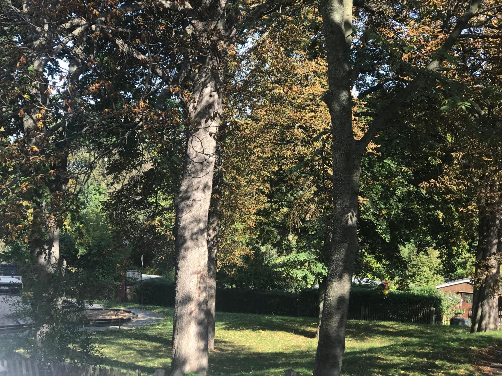 Domizil Eutschuetzgruen